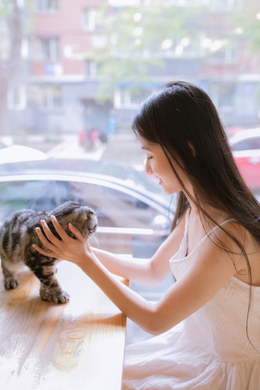 3000元小贷哪个最好下款